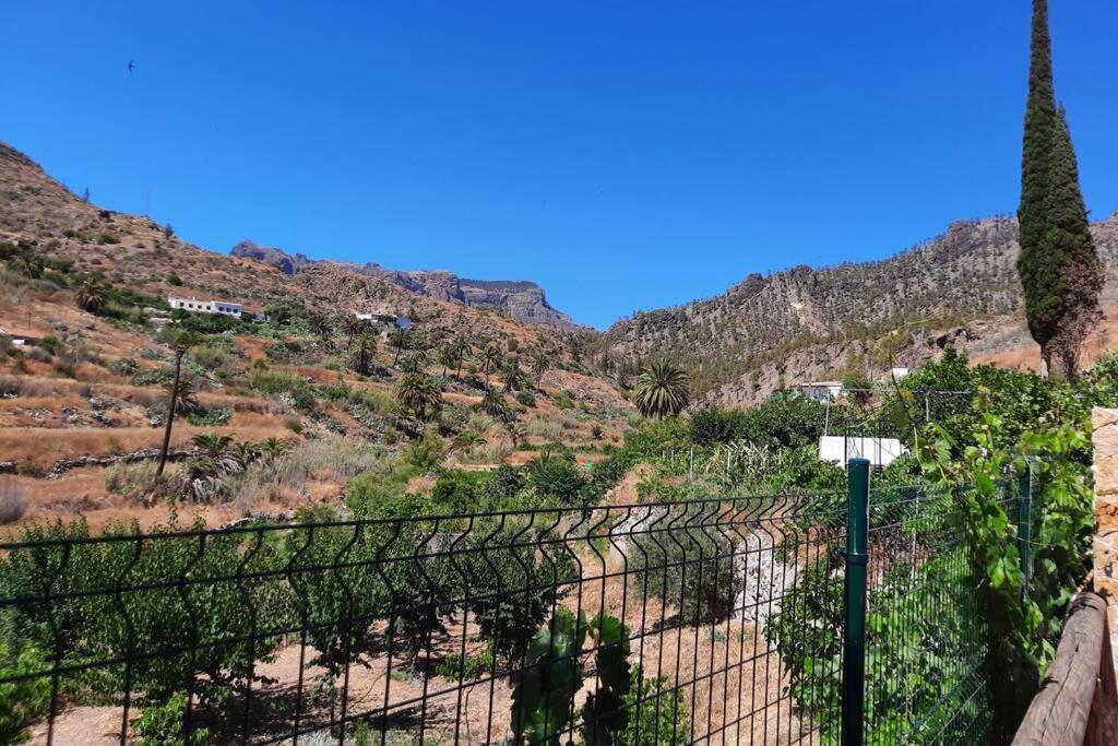 Casa Rural Los Cipreses. Cercados De Arana San Bartolomé Ngoại thất bức ảnh